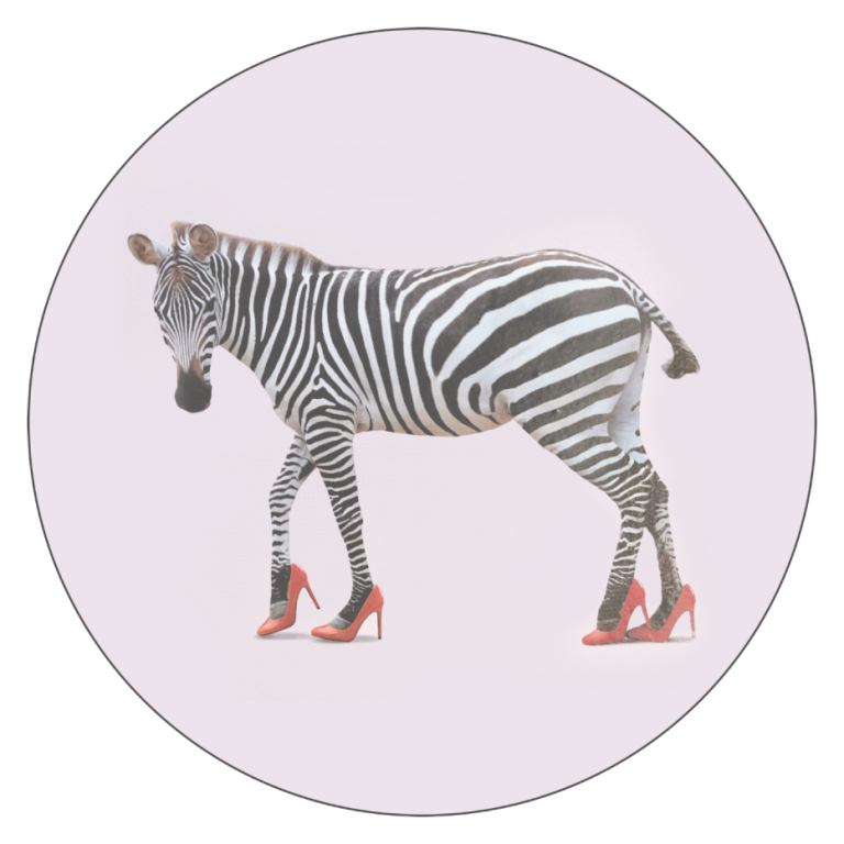 zebre logo 768x768