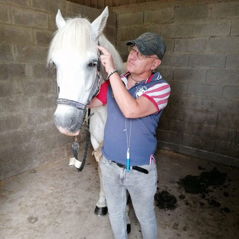 Hugues De Paoli kinesiologue cheval 768x768
