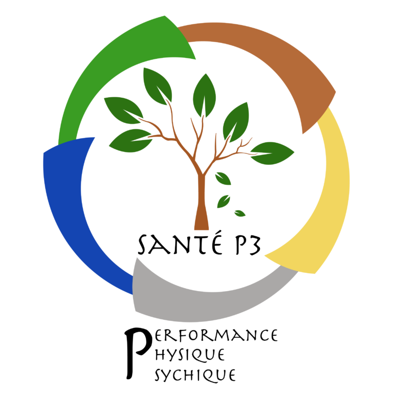 Logo SP3 fond transparent Plan de travail 1 768x768